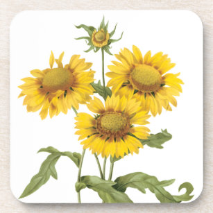 Vintage Floral Blanket Flower Sunflower by Redoute Coaster