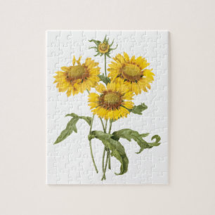 Vintage Floral Blanket Flower Sunflower by Redoute Jigsaw Puzzle