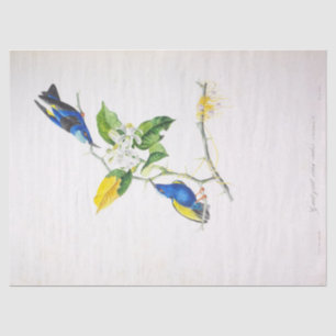 Vintage Floral Blue Bird Ephemera Decoupage Script Tissue Paper