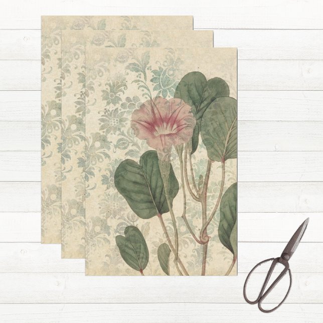 Vintage Floral Botanical Tissue Paper (Floral tissue paper for decoupage or gift wrapping)