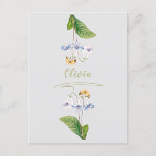 Vintage Floral Butterfly Botanical Illustration Postcard
