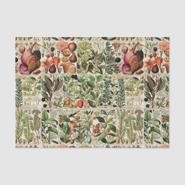 Vintage Floral Collection #15 Tissue Paper (Front)