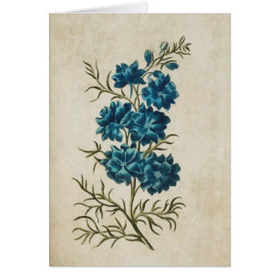 Vintage floral double larkspur