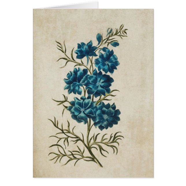 Vintage floral double larkspur (Devant)