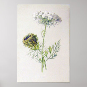 Vintage Floral Poster