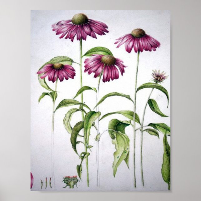 Vintage Floral Poster (Front)