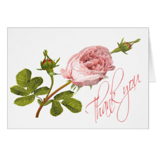 Vintage Floral Thank You Pink Rose Flower Wedding