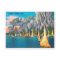 Vintage Florida Cypress Trees Travel Postcard