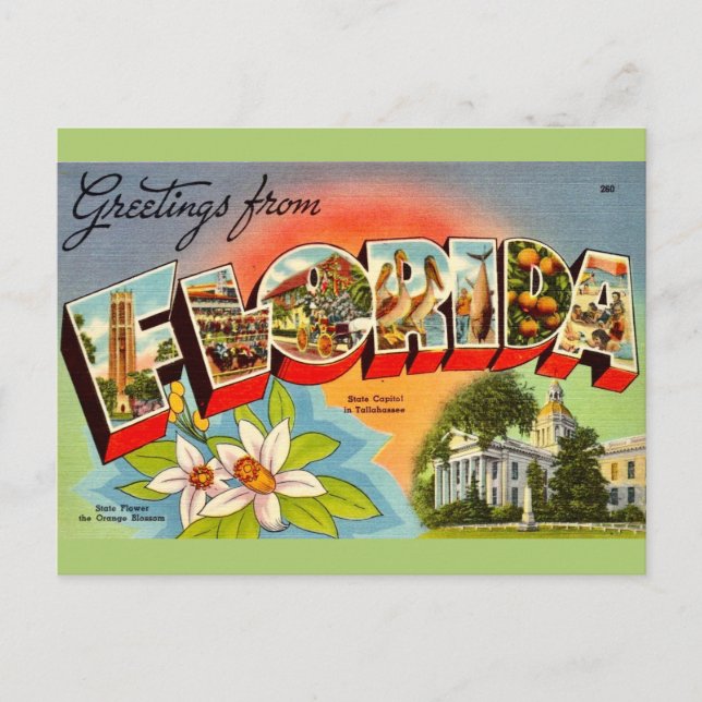 Vintage Florida Greeting Postcard (Front)