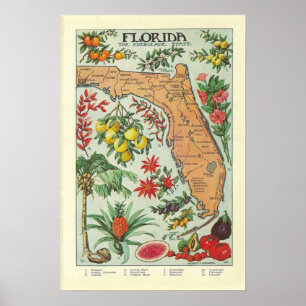 Vintage Florida Map - Flora Poster