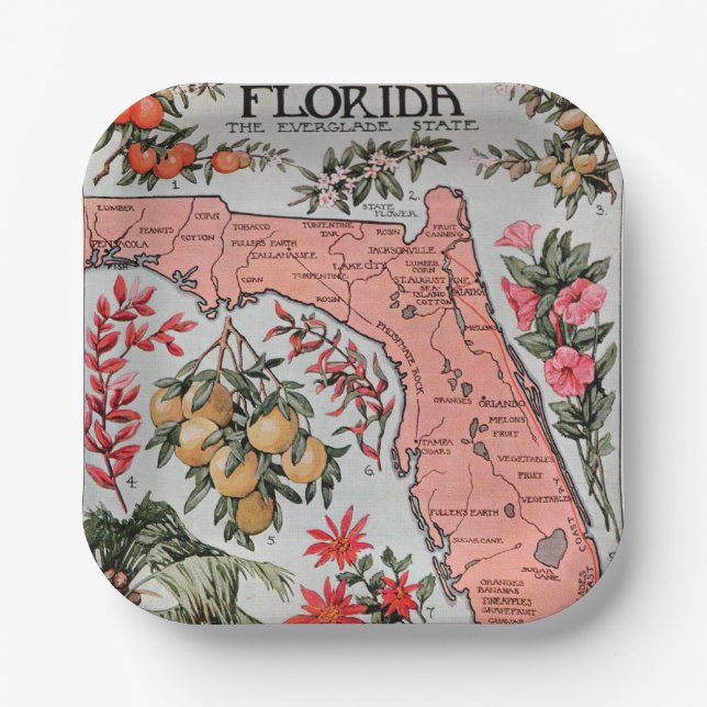 Vintage Florida Map Paper Plate (Front)