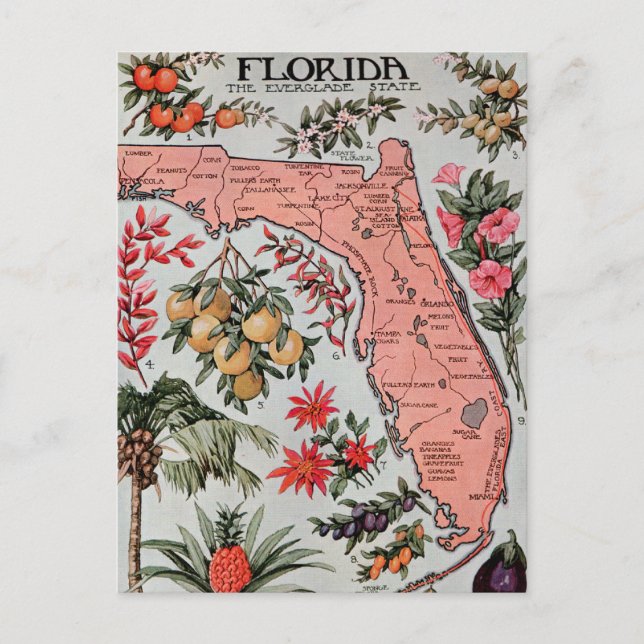Vintage Florida Map Postcard (Front)