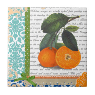 Vintage Florida Orange Fruit kitchen tile