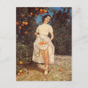 Vintage Florida Oranges Post Card