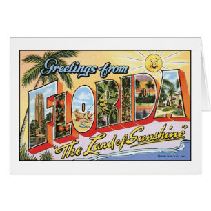 Vintage Florida Postcard