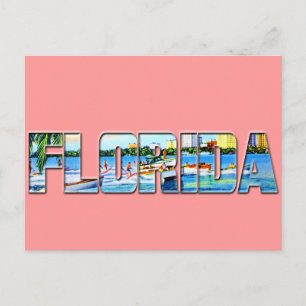 Vintage Florida Postcard