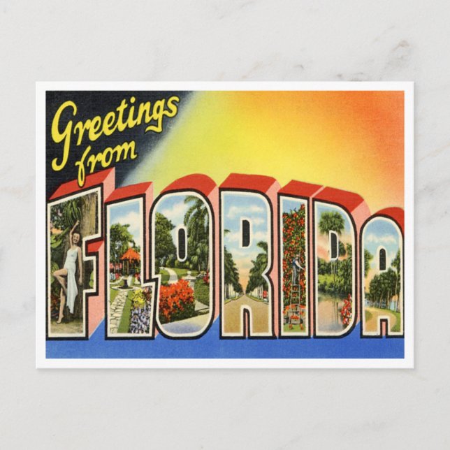 Vintage Florida Postcard (Front)