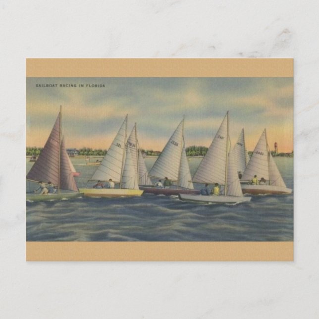 Vintage Florida Sailboat Racing Postcard (Front)