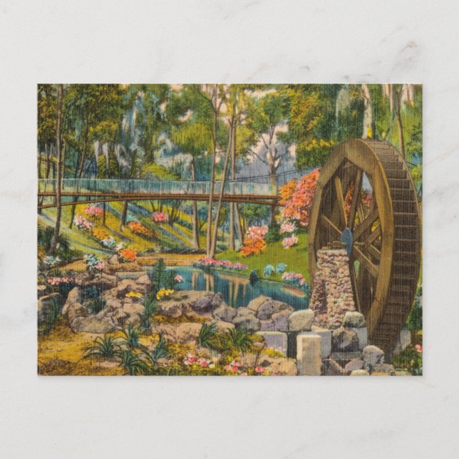 Vintage, Florida, Tropical Lake Hidden Cove Postcard (Front)