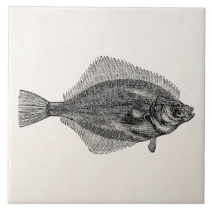 Vintage Flounder Fish Aquatic Fishes Template Tile