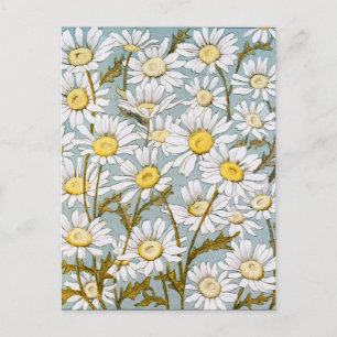 Vintage Flower Illustration Postcard