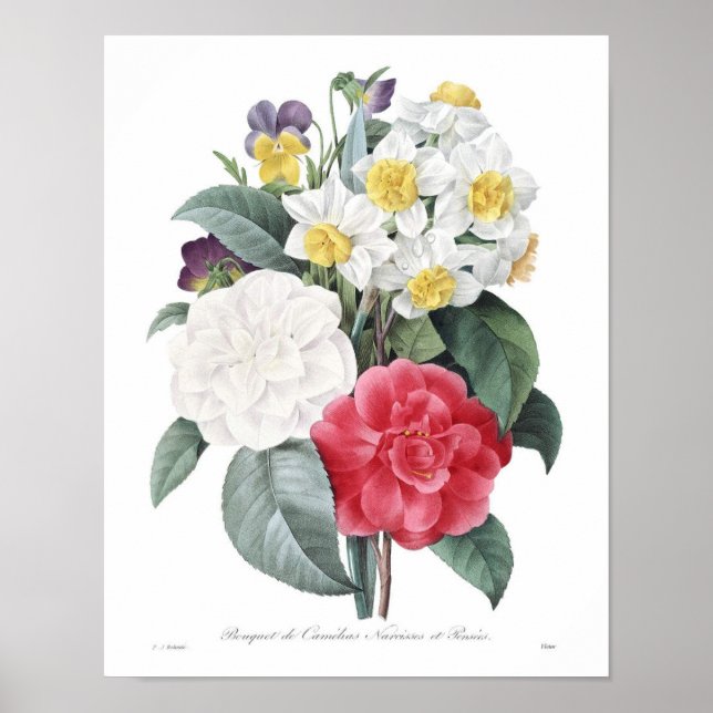 Vintage Flower Illustration Poster (Front)