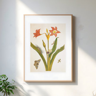 Vintage Flower Plant Botanical Illustration Poster