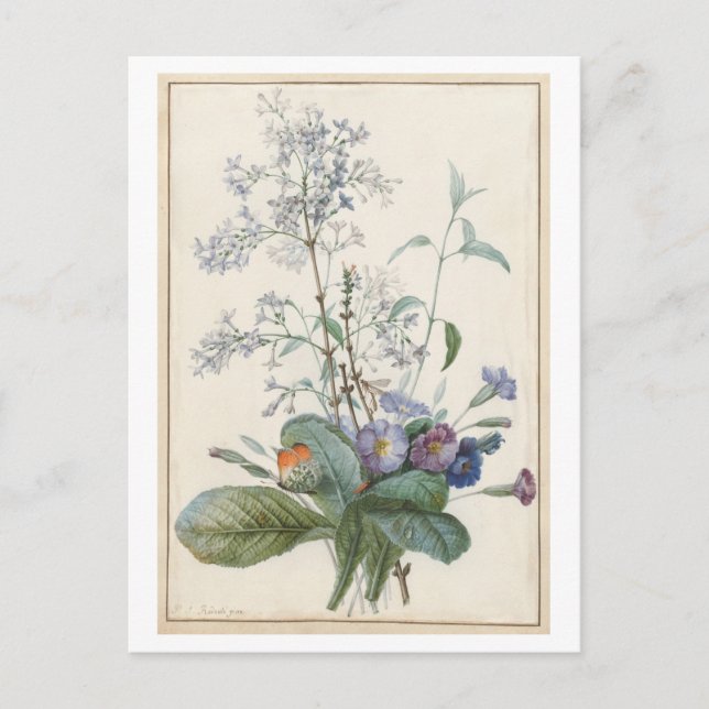 Vintage Flower Postcard (Front)