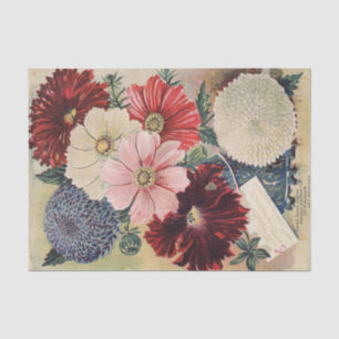 Vintage Flower Seed Catalogue 1895 Tissue Paper