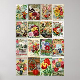 Vintage Flower Seed Catalogues Collage Poster