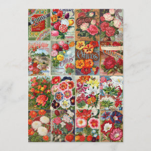 Vintage Flower Seed Packets Garden Collage Invitation
