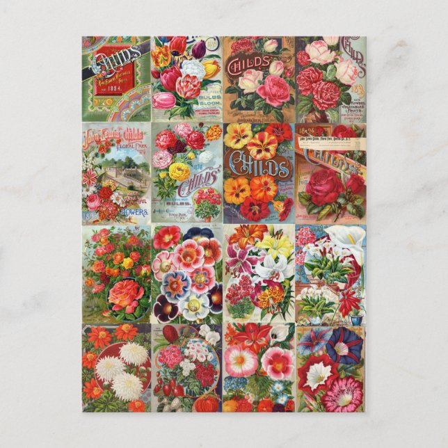 Vintage Flower Seed Packets Garden Collage Postcard (Front)