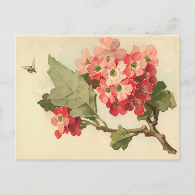 Vintage Flowering Tree Postcard (Front)