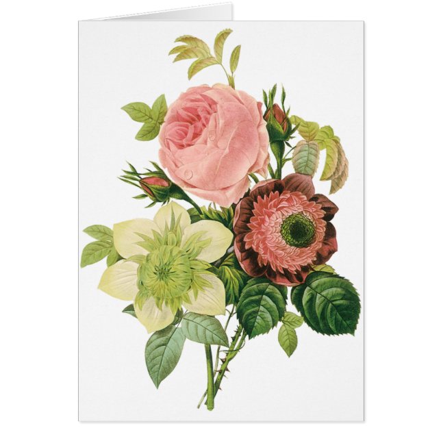 Vintage Flowers, Anemone Roses Clematis by Redoute (Front)