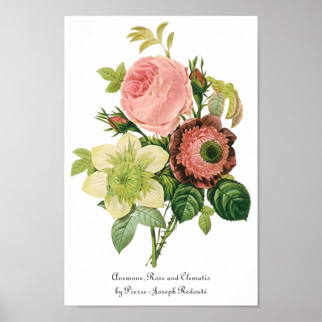 Vintage Flowers, Anemone Roses Clematis by Redoute Poster (Front)