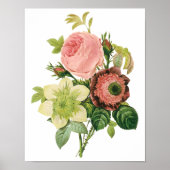 Vintage Flowers, Anemone Roses Clematis by Redoute Poster (Front)