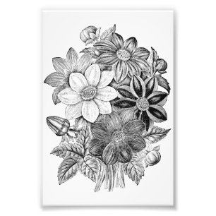 Vintage Flowers Black White Print