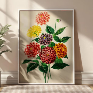 Vintage Flowers Bouquet Botanical Illustration  Poster