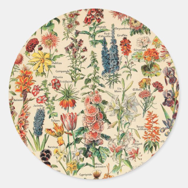Vintage Flowers by Adolphe Millot Classic Round Sticker (Front)