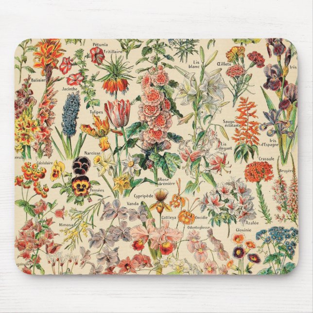 Vintage Flowers by Adolphe Millot Mouse Pad (Front)
