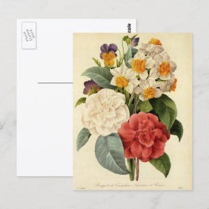 Vintage Flowers, Camellias and Narcissus, Redoute Postcard