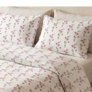 Vintage Flowers - Centaurium by Mary Vaux Walcott Pillowcase