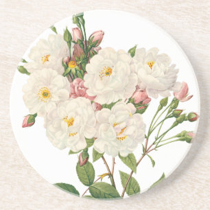 Vintage Flowers Floral Blush Noisette Rose Redoute Coaster