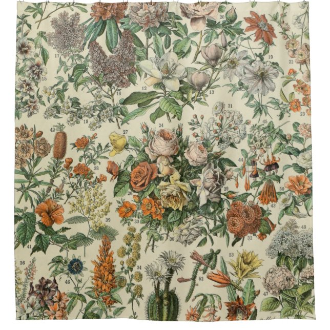Vintage Flowers Illustration Adolphe Millot (Front)