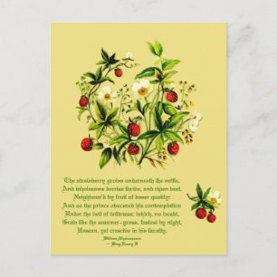 Vintage Flowers of Shakespeare Strawberries Postca Postcard