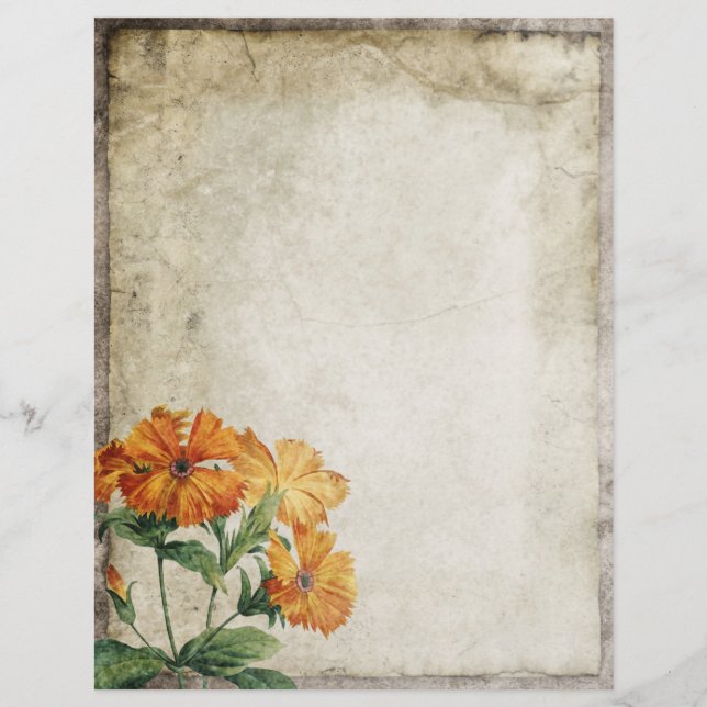 Vintage Flowers Old Parchment Scrapbook Paper (Front)