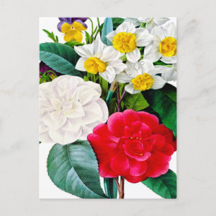 Vintage Flowers Postcard