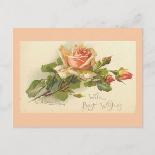Vintage Flowers Postcards