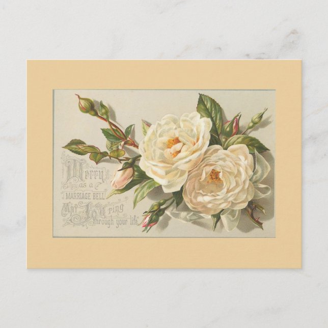 Vintage Flowers Postcards (Front)