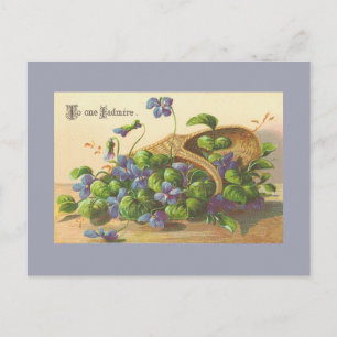 Vintage Flowers Postcards